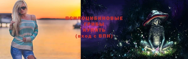 стаф Баксан