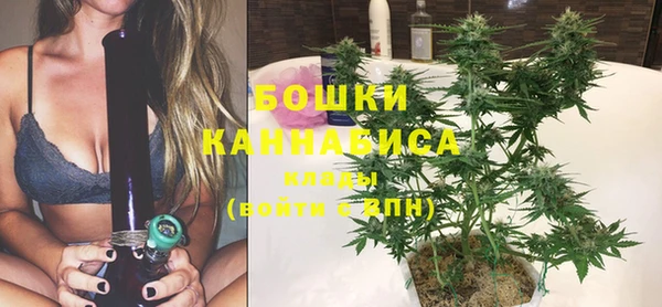 стаф Баксан